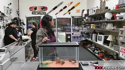 Beyaz bir anakonda için sakallı bir ejderha piyon - xxx piyon