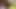 Getting my dick sucked while a dildo is in my asshole coming