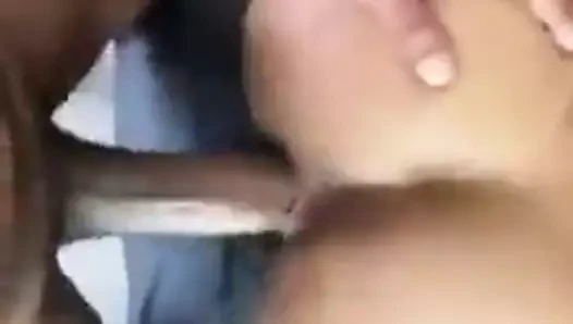 amatör 007