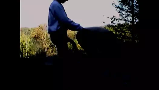 Favorileri ilişkilendirmek