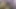 Kız masum görünüyordu ama spermimi yuttu