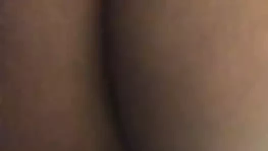 amatör abanoz ganimet ve KEDİ