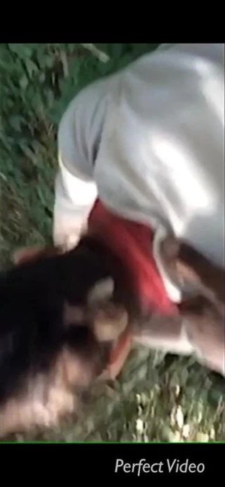 Ma toute prömiyeri video - arşivler 2011 lanet ormana yakalandı