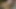 iki yakışıklı twink vamps lanet derinden sonra oral seks