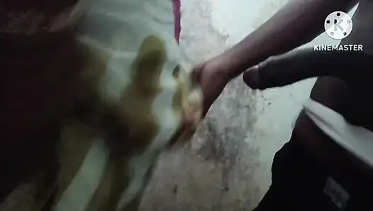 Hintli desi ateşli anne kola içiyor ve Har Hasbend ile numara yapıyor