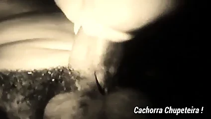 Cachorra Chupeteira 3