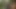 Havuz kenarında oyuncak oyunu ateşli lezbiyen hatunları boşaltıyor