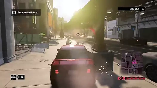 Köpekleri izle - bu harikaydı, bunu yapmak istemedim