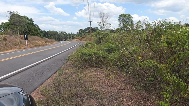 Daha iyi bir şey yok, konuşmak, esintiyi hissetmek, arkadaş edinmek