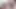 Haitili Fresh'in kalın sünnetsiz yarağı Alice Pink'in sıkı pembe amını çarpıyor!