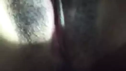 Bakire kedi mastürbasyon