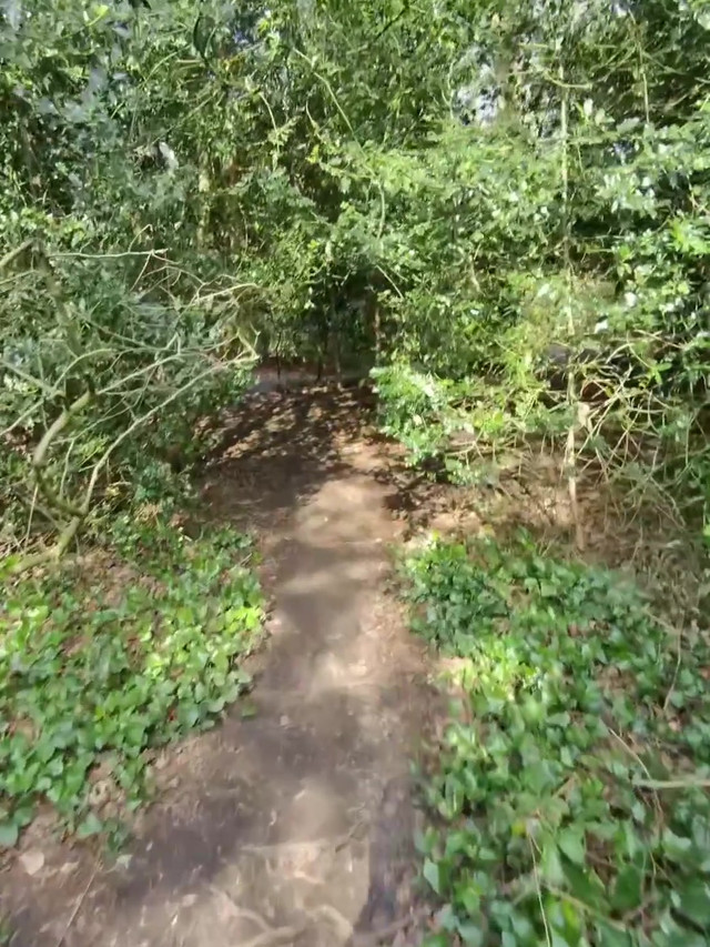 Fuck stranger in the woods is the best sex