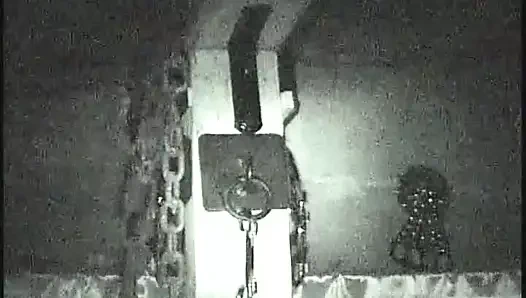 Cub Expression BDSM Dungeon