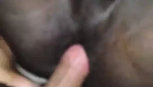 Arap üreme siyah alt