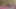 Dövmeli güzellik Evee şehvetli bir şekilde esnetiyor, çıplak soyunuyor, sırılsıklam amını parmaklıyor ve ilkel bir çığlıkla sertçe boşalıyor.