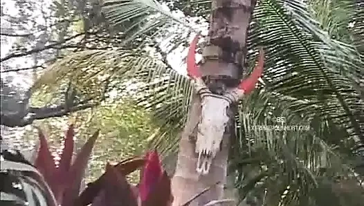 Young maidservants breaking-in