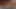 Ahlakın sınırları - Paris iş gezisi - bölüm 4 - kocasının hemen yanında sevgilisini görüntülü görüşme seksiyle azdırıyor