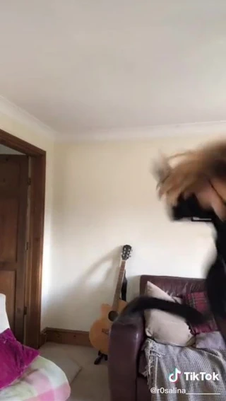 Tiktok tayt