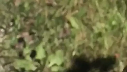 Pawg iz yürüyüşü bölüm 2