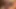 Seksi kadınlarla çeşitli oral seks derlemesi