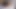 Mila'nın salya akıtan hogtie zevki kemerlerle bağlı ve koşumlu bir taşakla sabitleniyor! (4k)