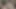 Hintli üniversiteli kız ve sevgilisi seks yapıyor