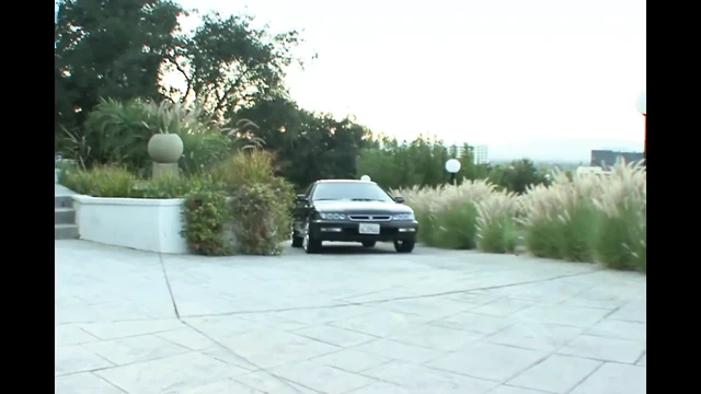 Aptal Emmekten Hoşlanır