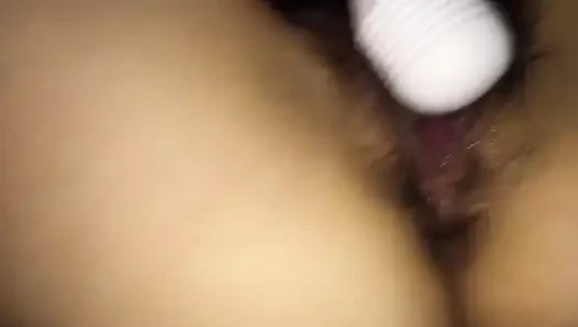 Japon güzel ıslak kedi