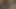 Arjantinli seks içeride ve dışarıda.