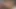 Rüya travesti - travestiler vs kahrolası makineler derleme 22