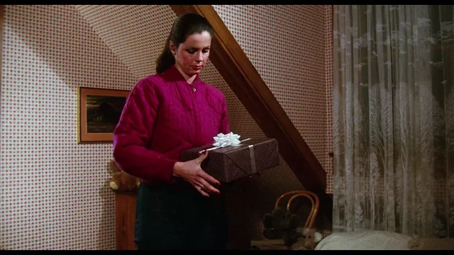 sorority canlarım (1983)