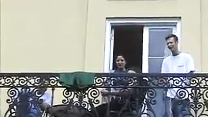 büyük baştankara gösterilen içinde kamu tarafından hotty