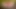 santas little helper under the Christmas tree now in full 4K high quality Ultra HD