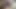 Mila ve latin hırsız gıdıklanıyor, gıdıklanıyor ve merhamet için yalvarıyor! Fullhd