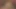 Safari rehberleri kızını babasından uzaklaştırmadı