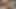Kız arkadaş kanepede yarak emiyor. Sonra kız arkadaş aktif anal seks yapmayı kabul ediyor