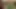 Danny the Twink