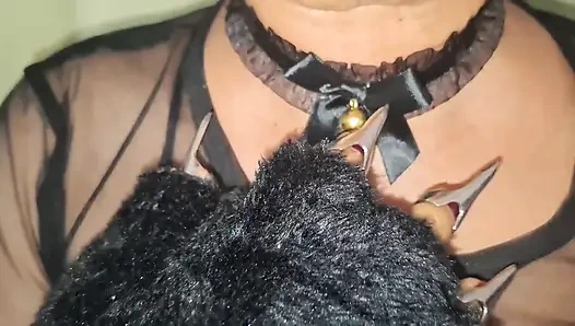 Meon Meaon Ben Kitty Cat