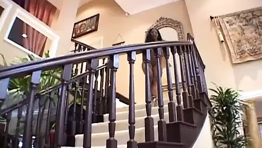 Narty American Adventures - Cilt #03 - (Michael Stefano Filmleri)