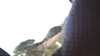 las zorras del cbtis 24