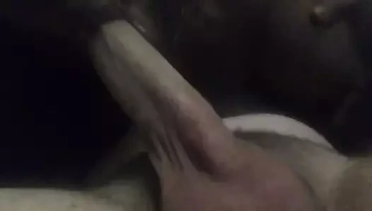 Sucking hamster guys white cock