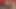 21 Yaşındaki Öğrenci Anastasia Ile Sapkın Oral Seks Oyunları