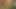 Alyssa