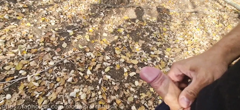 I spied on a straight guy while he was jerking off his huge penis in the car and gave him a hand job.