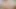 pasta4k. hamilelik tuzağı