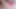 Gerçek anal - Adriana Chechik ve Megan Rain ile anal ve fışkırtma eğlencesi