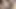 Seksi ve kalın carmen dior büyük zenci yarağı kral kreme tarafından sikiliyor