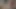 Örümcek tarafından korkan oda arkadaşları büyük zenci biniyor