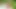 Amazon hatunlarla açık havada üçlü festivali
