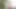 Entelektüel sekreter pornoya girmeye karar verdi